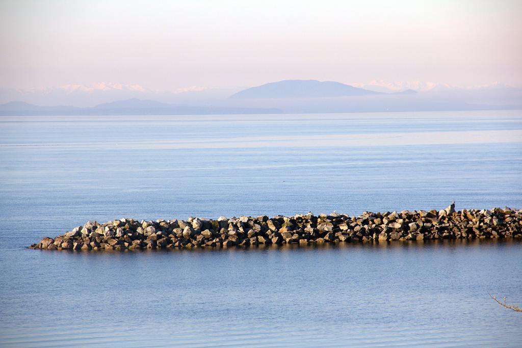 Star Of The Sea Guest House White Rock Dış mekan fotoğraf